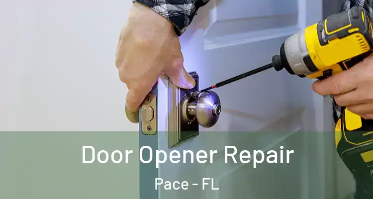 Door Opener Repair Pace - FL