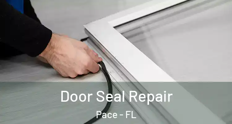Door Seal Repair Pace - FL
