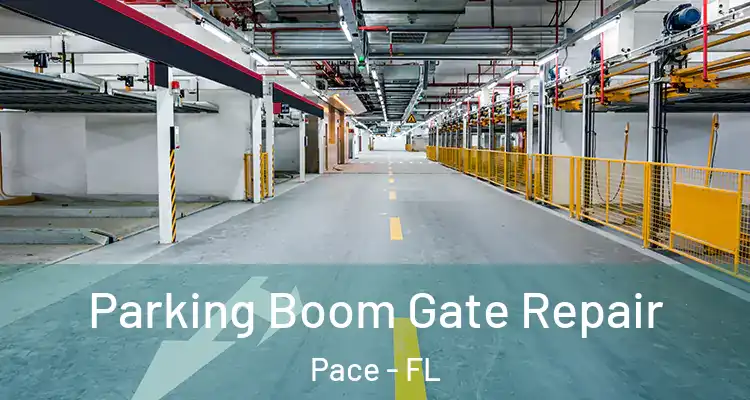  Parking Boom Gate Repair Pace - FL