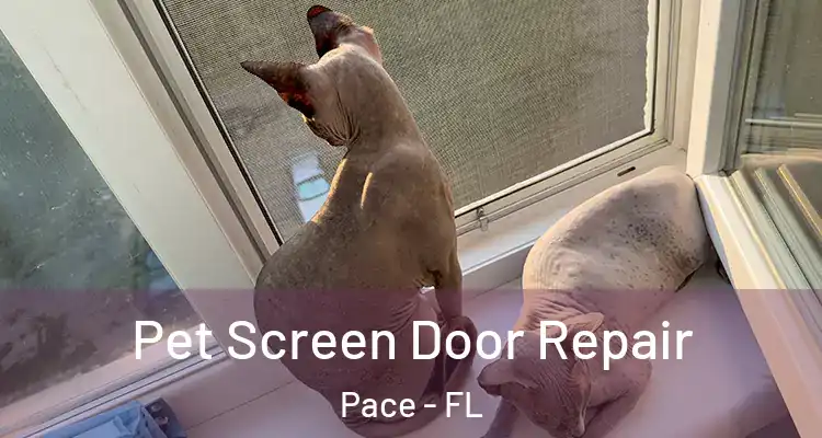 Pet Screen Door Repair Pace - FL